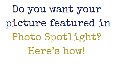 Introducing Photo Spotlight!