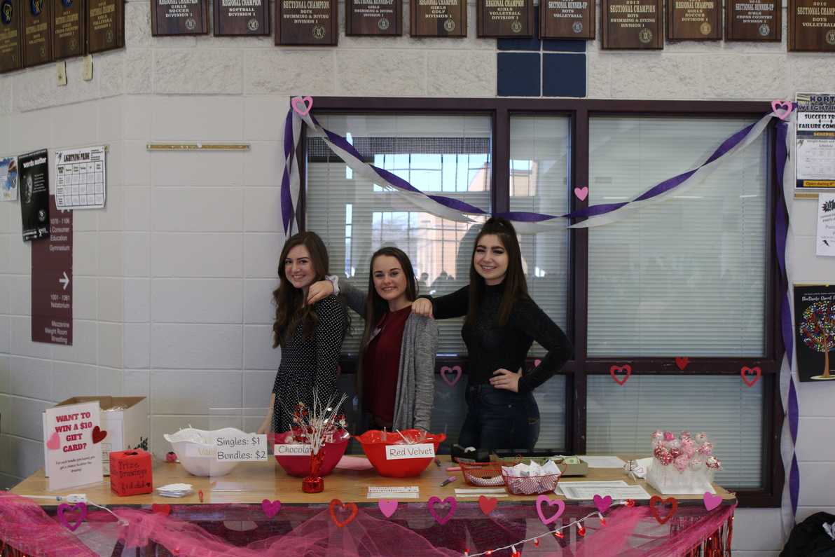 fashion club cake pops.