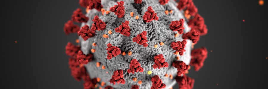Representation of the COVID-19 pathogen. Photo from the US Department of State website.