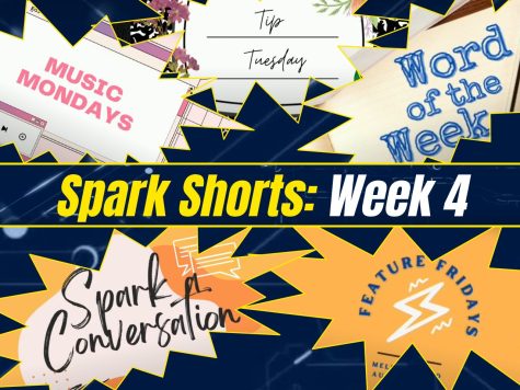 Spark Shorts Week 4